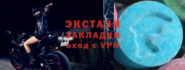 PSILOCYBIN Алагир