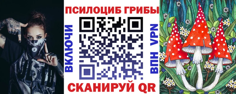 Галлюциногенные грибы MAGIC MUSHROOMS где найти Мензелинск
