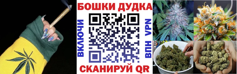 купить наркоту  Мензелинск  Канабис план 